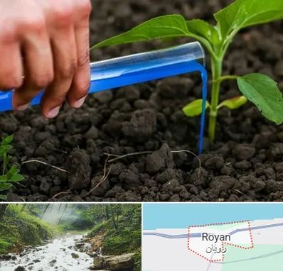 فروشگاه سم و کود کشاورزی در رویان