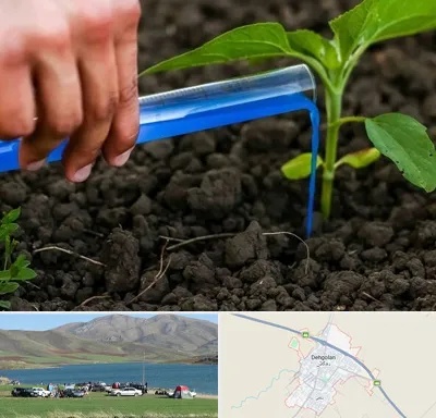 فروشگاه سم و کود کشاورزی در دهگلان