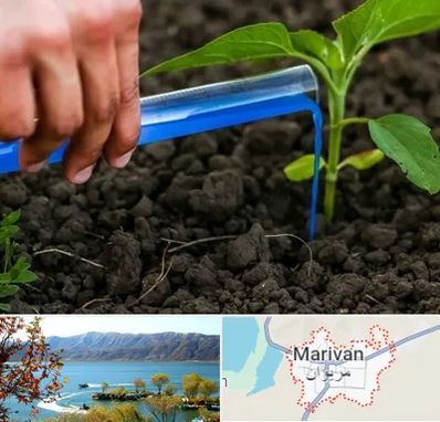 فروشگاه سم و کود کشاورزی در مریوان