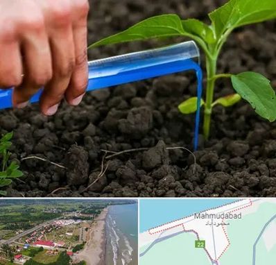 فروشگاه سم و کود کشاورزی در محمودآباد