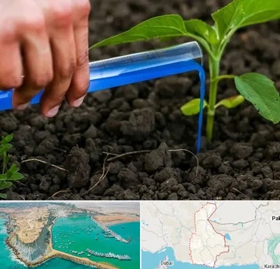 فروشگاه سم و کود کشاورزی در سیستان و بلوچستان