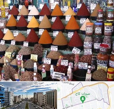 ادویه فروشی در سعادت آباد 