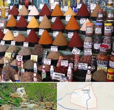 ادویه فروشی در کردان