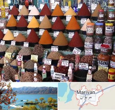 ادویه فروشی در مریوان