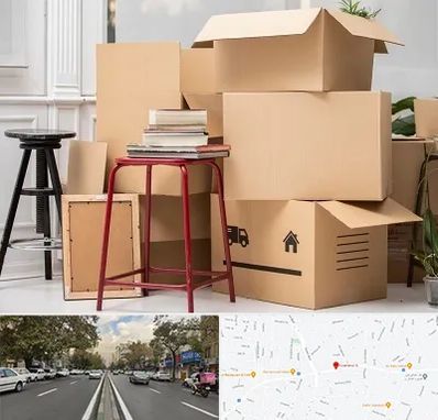 کارگر اسباب کشی و باربری در دولت