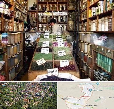 فروش دارو گیاهی در دماوند