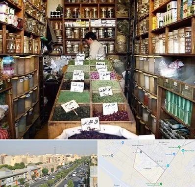 فروش دارو گیاهی در کیانمهر کرج 