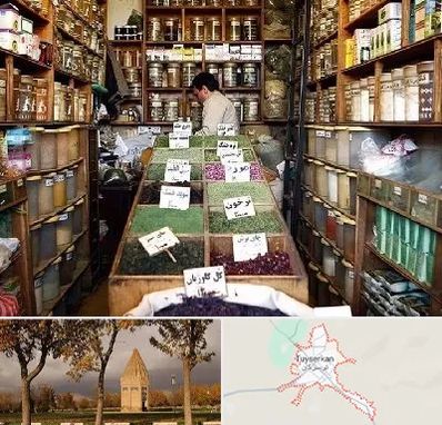فروش دارو گیاهی در تویسرکان