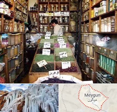 فروش دارو گیاهی در میگون