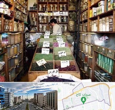 فروش دارو گیاهی در سعادت آباد 