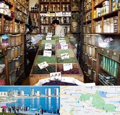 فروش دارو گیاهی در چیتگر 