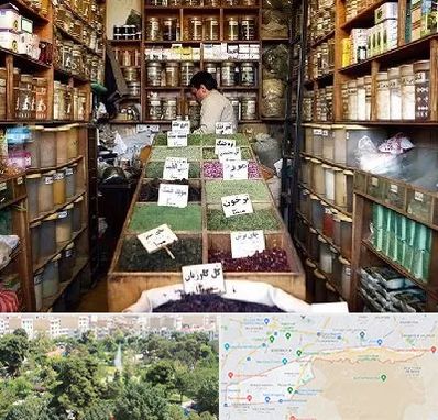 فروش دارو گیاهی در منطقه 13 تهران 