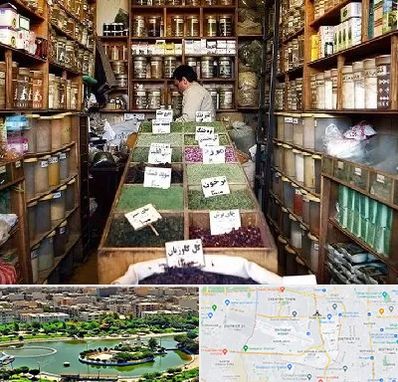 فروش دارو گیاهی در منطقه 9 تهران 