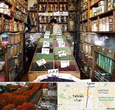 فروش دارو گیاهی در ولیعصر 