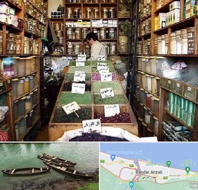 فروش دارو گیاهی در بندر انزلی