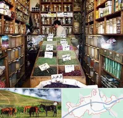 فروش دارو گیاهی در تالش