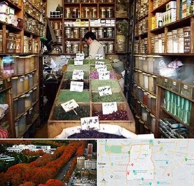 فروش دارو گیاهی در منطقه 6 تهران 
