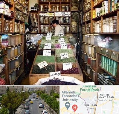 فروش دارو گیاهی در شهران 
