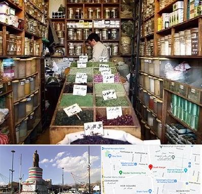 فروش دارو گیاهی در کارگر جنوبی 