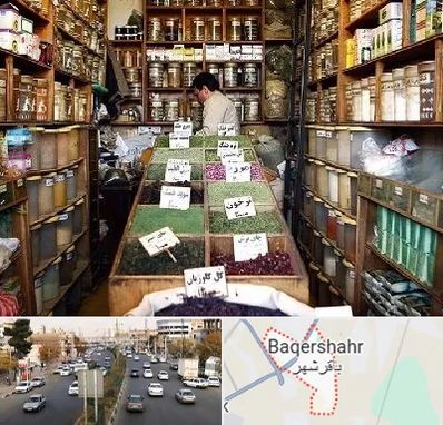 فروش دارو گیاهی در باقرشهر