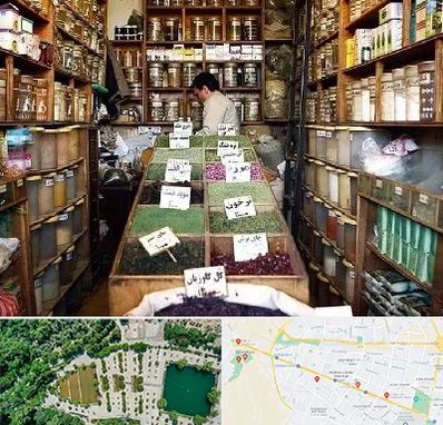 فروش دارو گیاهی در وکیل آباد مشهد 