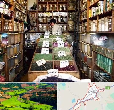 فروش دارو گیاهی در نکا