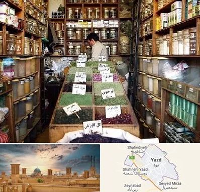فروش دارو گیاهی در یزد