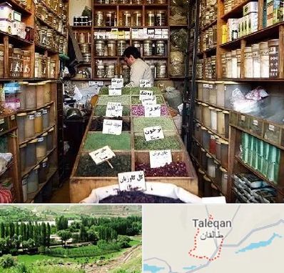 فروش دارو گیاهی در طالقان