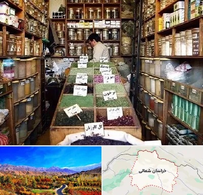 فروش دارو گیاهی در خراسان شمالی