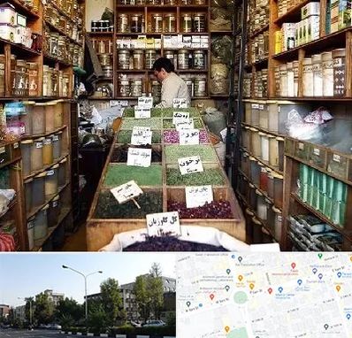 فروش دارو گیاهی در میدان کاج 