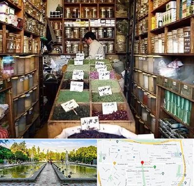 فروش دارو گیاهی در سرسبز 