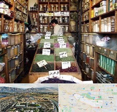 فروش دارو گیاهی در منطقه 21 تهران 