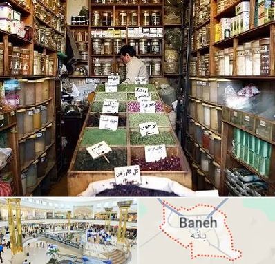 فروش دارو گیاهی در بانه