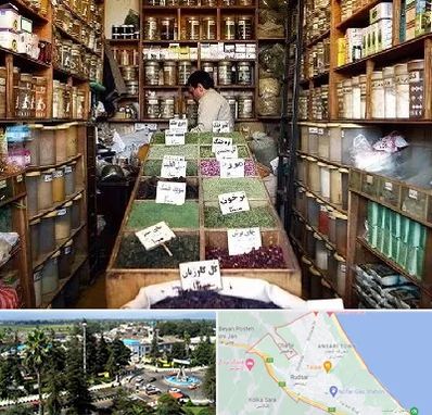 فروش دارو گیاهی در رودسر