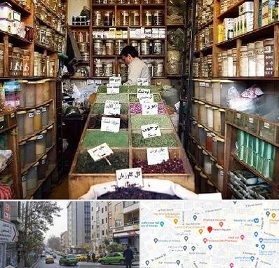 فروش دارو گیاهی در فاطمی 