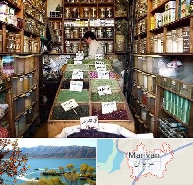 فروش دارو گیاهی در مریوان