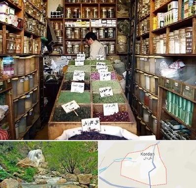 فروش دارو گیاهی در کردان