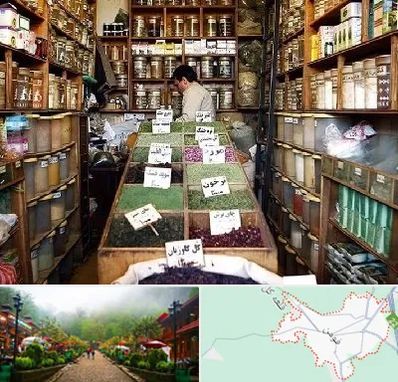 فروش دارو گیاهی در فومن