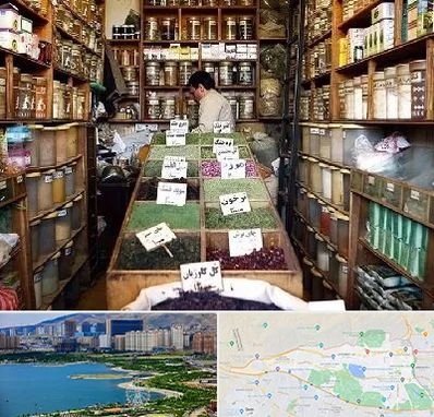 فروش دارو گیاهی در منطقه 22 تهران 