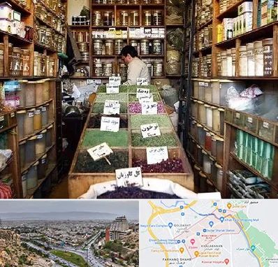 فروش دارو گیاهی در معالی آباد شیراز 
