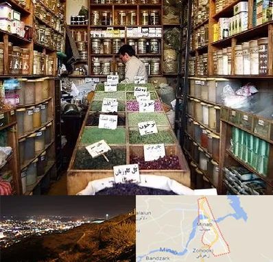 فروش دارو گیاهی در میناب