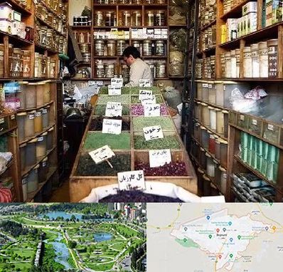 فروش دارو گیاهی در بجنورد