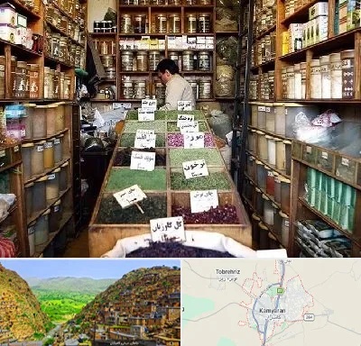 فروش دارو گیاهی در کامیاران