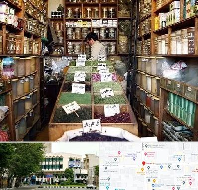 فروش دارو گیاهی در طالقانی 