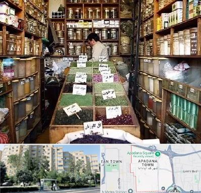 فروش دارو گیاهی در آپادانا