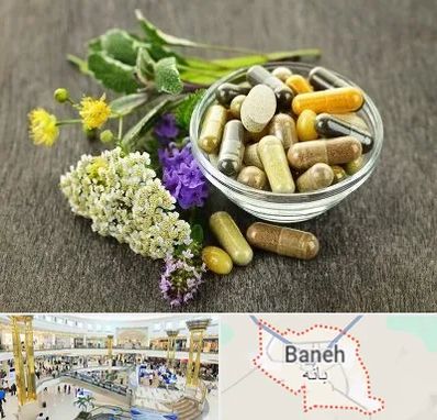 فروش گیاهان دارویی در بانه