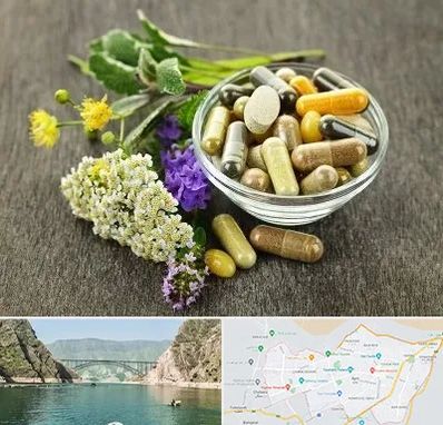 فروش گیاهان دارویی در ایلام