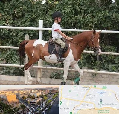 آموزش سوارکاری در تهرانپارس 