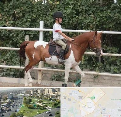 آموزش سوارکاری در کمال شهر کرج 