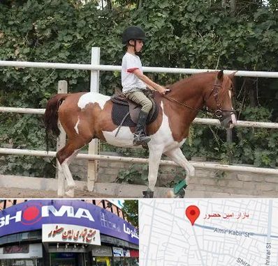 آموزش سوارکاری در امین حضور